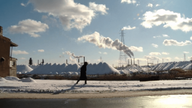 searching for sugar man