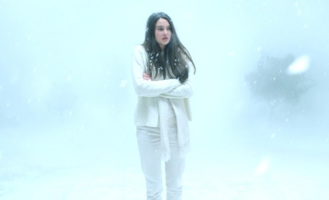 white bird in a blizzard Gregg Araki shailene woodley