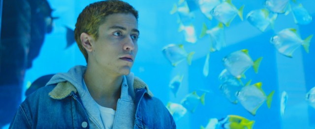 futuro beach Praia do Futuro Karim Aïnouz Jesuita Barbosa