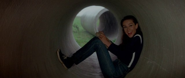 two for the road audrey hepburn stanley donen