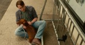 wiener-dog todd solondz kieran culkin