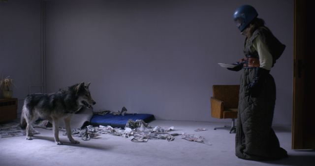 wild-nicolette-krebitz-lilith-stangenberg-2